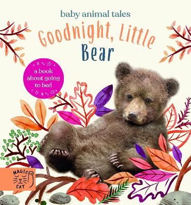 Book cover for Goodnight, Little Bear