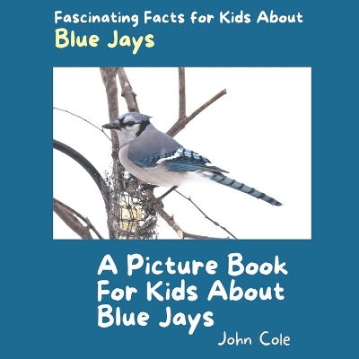 Book cover for A Picture Book for Kids About Blue Jays