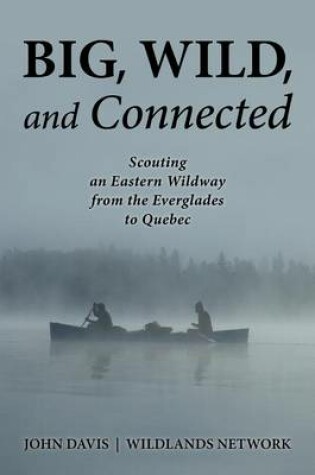 Cover of Big, Wild, and Connected