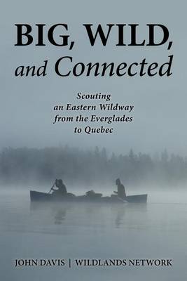 Book cover for Big, Wild, and Connected