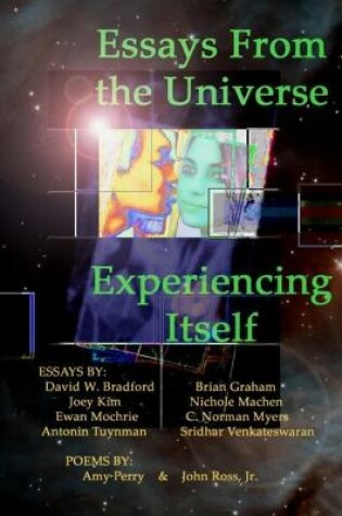 Cover of Essays From the Universe Experiencing Itself