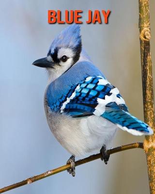 Book cover for Blue Jay