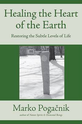 Book cover for Healing the Heart of the Earth