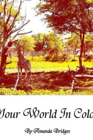 Cover of Your World In Color