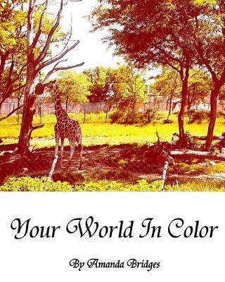 Book cover for Your World In Color