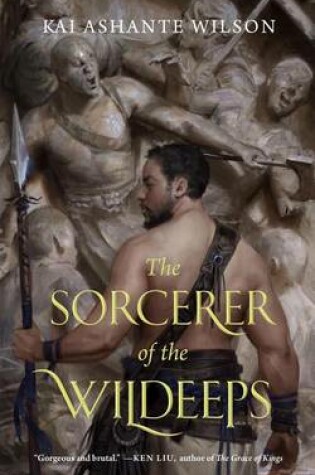 Cover of The Sorcerer of the Wildeeps
