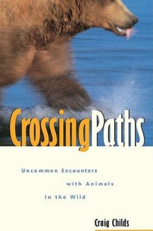 Cover of Crossing Paths