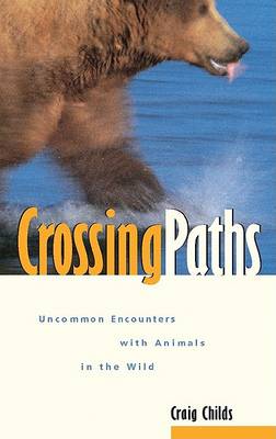 Book cover for Crossing Paths