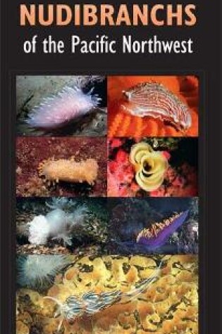 Cover of A Field Guide to Nudibranchs of the Pacific Northwest