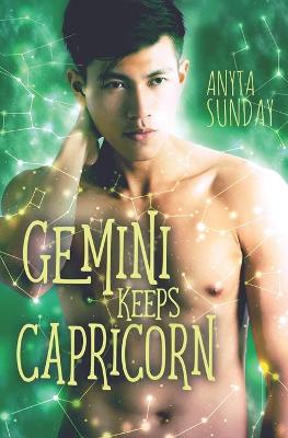 Book cover for Gemini Keeps Capricorn