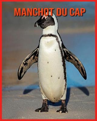 Book cover for Manchot du Cap