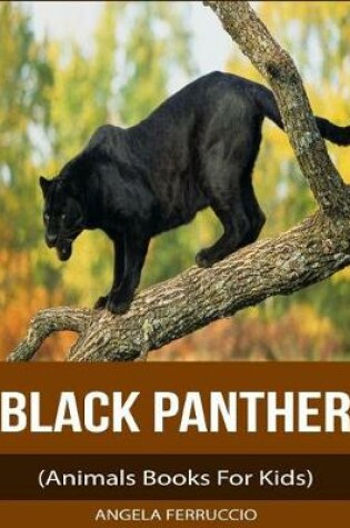 Cover of Black Panthers (Animals Books For Kids)