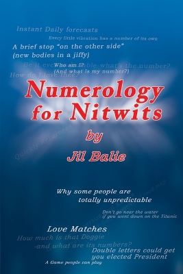 Cover of Numerology for Nitwits