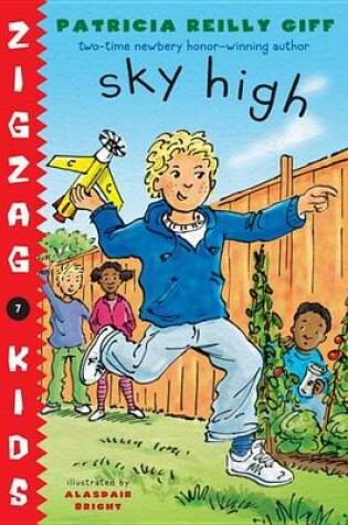 Cover of Sky High