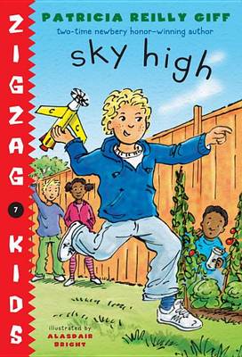 Book cover for Sky High