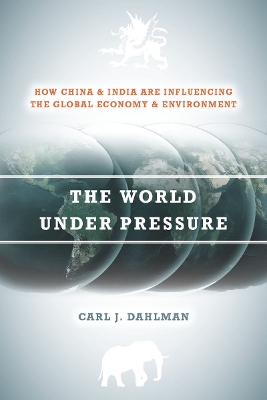 Book cover for The World Under Pressure