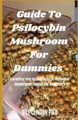 Book cover for Guide To Psilocybin Muѕhrооmѕ For Dummies