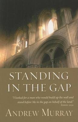 Book cover for Standing in the Gap (eBook)