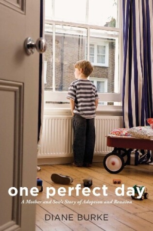 Cover of One Perfect Day