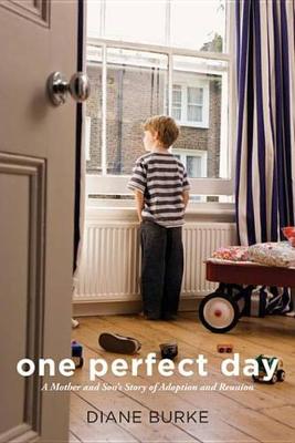 Book cover for One Perfect Day