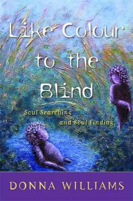 Book cover for Like Colour to the Blind