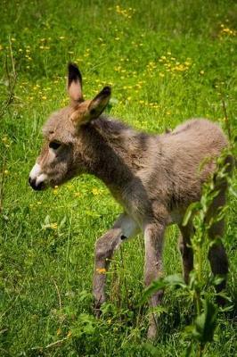 Book cover for The Baby Donkey Journal