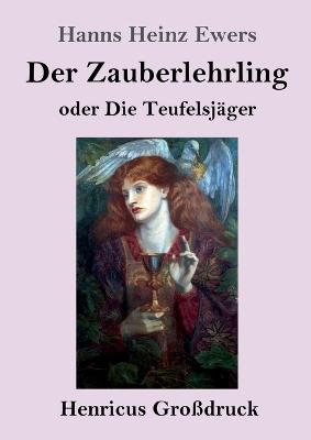 Book cover for Der Zauberlehrling (Großdruck)