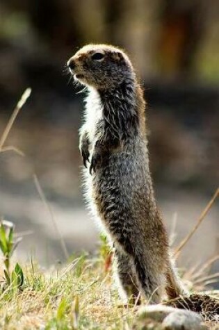 Cover of Arctic Ground Squirrel Standing Up Journal