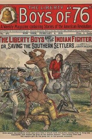 Cover of The Liberty Boys and the Indian Fighter