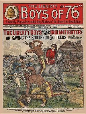 Book cover for The Liberty Boys and the Indian Fighter