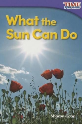 Book cover for What the Sun Can Do