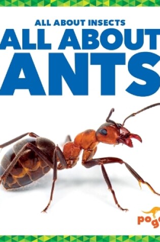 Cover of All about Ants