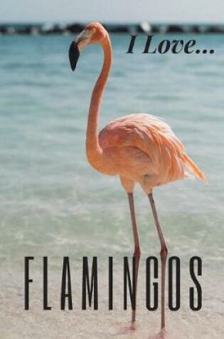 Cover of I Love Flamingos