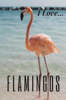 Book cover for I Love Flamingos