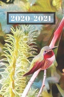Book cover for Pretty Ruby Red Green Hummingbird in the Garden Bird Lover's Dated Weekly 2 year Calendar Planner