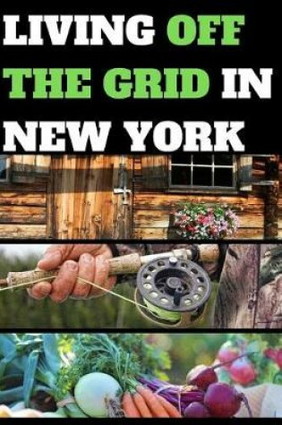 Cover of Living Off the Grid in New York