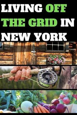 Book cover for Living Off the Grid in New York