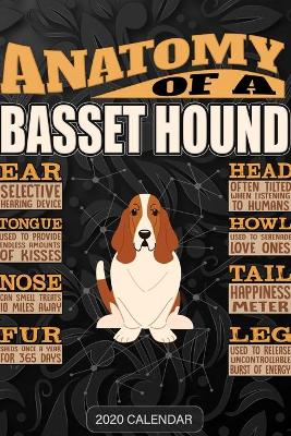 Book cover for Anatomy Of A Basset Hound