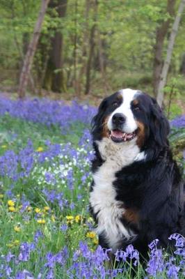 Book cover for Bernese Mountain Dog Sitting in the Wildflowers Journal