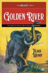 Book cover for Golden River