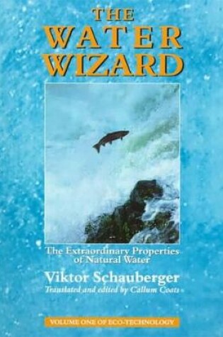 Cover of The Water Wizard