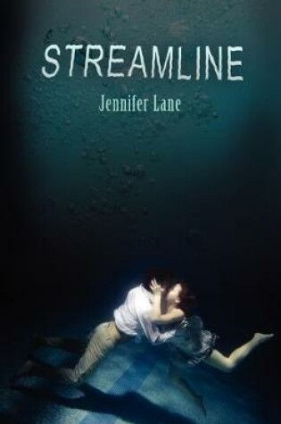 Cover of Streamline