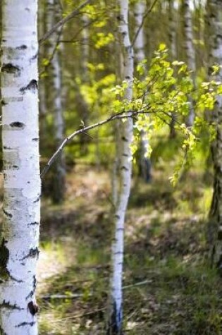 Cover of Among the Birch Trees in Summer Journal