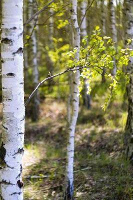 Book cover for Among the Birch Trees in Summer Journal