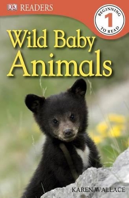Book cover for Wild Baby Animals