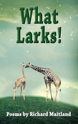 Book cover for What Larks