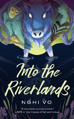 Book cover for Into the Riverlands