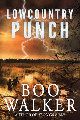 Book cover for Lowcountry Punch