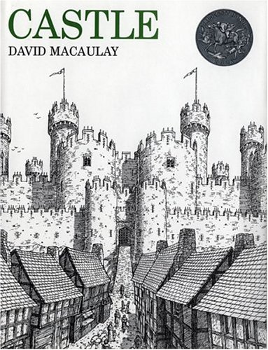 Book cover for Castle