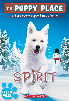 Cover of Spirit